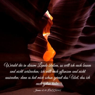 Picture 03 - Jeremia 42:10 LUTH1912 - Werdet ihr in diesem Lande bleiben, so will ich - Bible Verse Picture