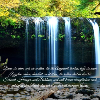 Picture 03 - Jeremia 42:17 LUTH1912 - Denn sie seien, wer sie wollen, die ihr Angesicht - Bible Verse Picture