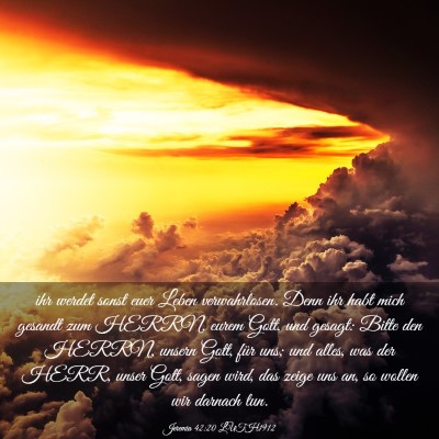 Picture 03 - Jeremia 42:20 LUTH1912 - ihr werdet sonst euer Leben verwahrlosen. Denn - Bible Verse Picture