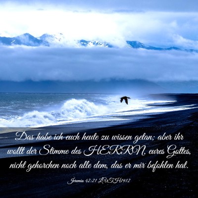 Picture 03 - Jeremia 42:21 LUTH1912 - Das habe ich euch heute zu wissen getan; aber ihr - Bible Verse Picture