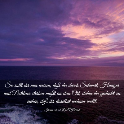 Picture 03 - Jeremia 42:22 LUTH1912 - So sollt ihr nun wissen, daß ihr durch Schwert, - Bible Verse Picture