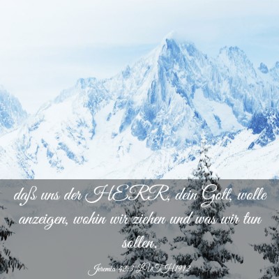 Picture 03 - Jeremia 42:3 LUTH1912 - daß uns der HERR, dein Gott, wolle anzeigen, - Bible Verse Picture
