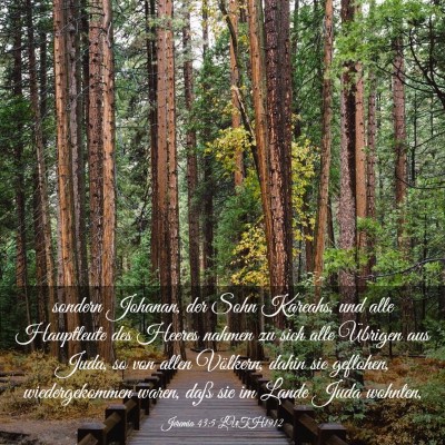 Picture 03 - Jeremia 43:5 LUTH1912 - sondern Johanan, der Sohn Kareahs, und alle - Bible Verse Picture