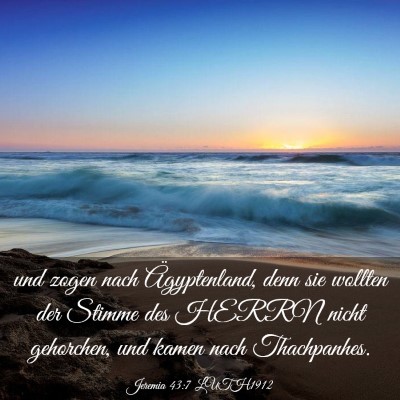 Picture 03 - Jeremia 43:7 LUTH1912 - und zogen nach Ägyptenland, denn sie wollten der - Bible Verse Picture