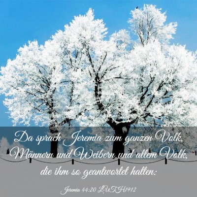 Picture 03 - Jeremia 44:20 LUTH1912 - Da sprach Jeremia zum ganzen Volk, Männern und - Bible Verse Picture