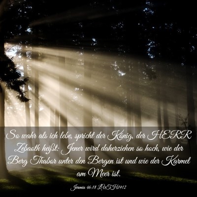 Picture 03 - Jeremia 46:18 LUTH1912 - So wahr als ich lebe, spricht der König, der - Bible Verse Picture