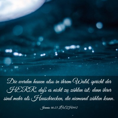 Picture 03 - Jeremia 46:23 LUTH1912 - Die werden hauen also in ihrem Wald, spricht der - Bible Verse Picture