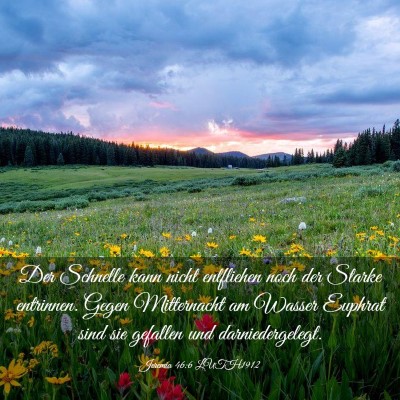 Picture 03 - Jeremia 46:6 LUTH1912 - Der Schnelle kann nicht entfliehen noch der - Bible Verse Picture