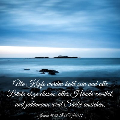 Picture 03 - Jeremia 48:37 LUTH1912 - Alle Köpfe werden kahl sein und alle Bärte - Bible Verse Picture