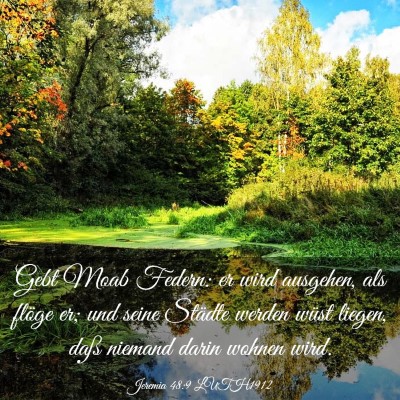 Picture 03 - Jeremia 48:9 LUTH1912 - Gebt Moab Federn: er wird ausgehen, als flöge - Bible Verse Picture