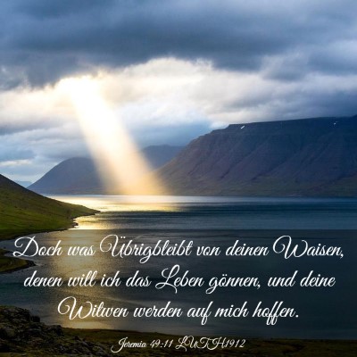 Picture 03 - Jeremia 49:11 LUTH1912 - Doch was Übrigbleibt von deinen Waisen, denen - Bible Verse Picture