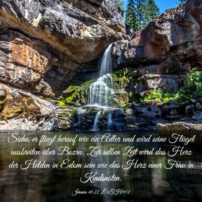 Picture 03 - Jeremia 49:22 LUTH1912 - Siehe, er fliegt herauf wie ein Adler und wird - Bible Verse Picture