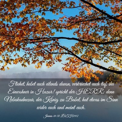 Picture 03 - Jeremia 49:30 LUTH1912 - Fliehet, hebet euch eilends davon, verkriechet - Bible Verse Picture