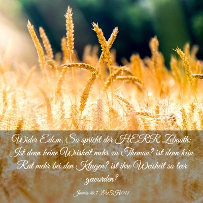 Picture 03 - Jeremia 49:7 LUTH1912 - Wider Edom. So spricht der HERR Zebaoth: Ist denn - Bible Verse Picture