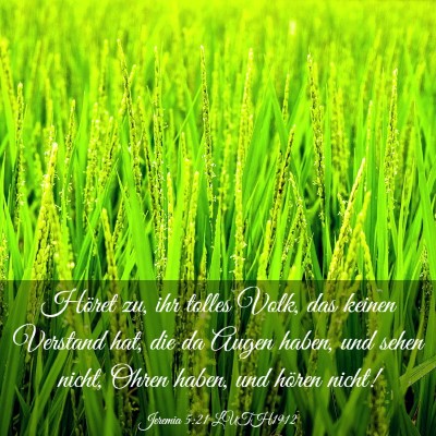 Picture 03 - Jeremia 5:21 LUTH1912 - Höret zu, ihr tolles Volk, das keinen Verstand - Bible Verse Picture