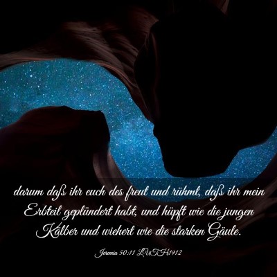 Picture 03 - Jeremia 50:11 LUTH1912 - darum daß ihr euch des freut und rühmt, daß - Bible Verse Picture