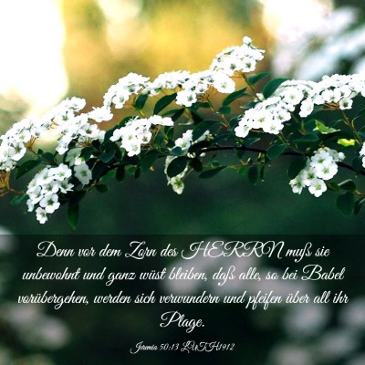 Picture 03 - Jeremia 50:13 LUTH1912 - Denn vor dem Zorn des HERRN muß sie unbewohnt - Bible Verse Picture