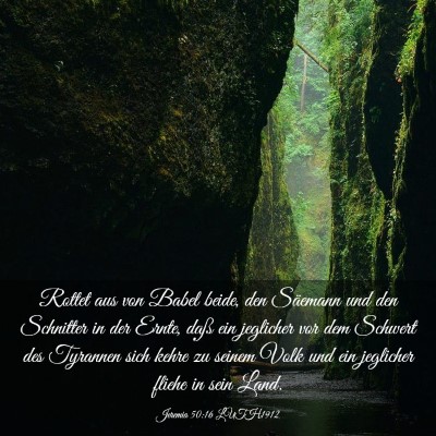 Picture 03 - Jeremia 50:16 LUTH1912 - Rottet aus von Babel beide, den Säemann und den - Bible Verse Picture