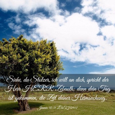 Picture 03 - Jeremia 50:31 LUTH1912 - Siehe, du Stolzer, ich will an dich, spricht der - Bible Verse Picture