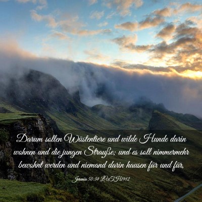 Picture 03 - Jeremia 50:39 LUTH1912 - Darum sollen Wüstentiere und wilde Hunde darin - Bible Verse Picture