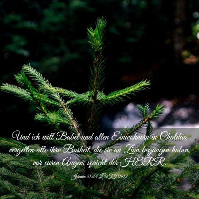 Picture 03 - Jeremia 51:24 LUTH1912 - Und ich will Babel und allen Einwohnern in - Bible Verse Picture