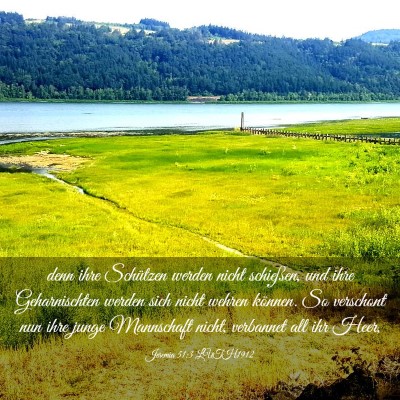 Picture 03 - Jeremia 51:3 LUTH1912 - denn ihre Schützen werden nicht schießen, und - Bible Verse Picture