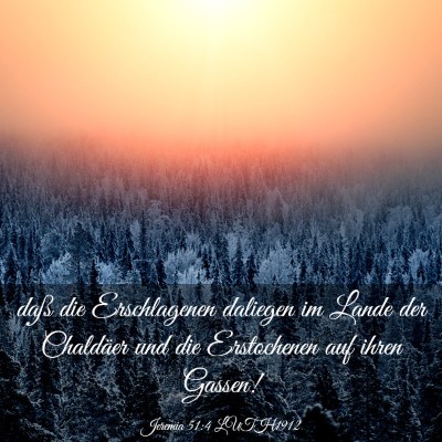 Picture 03 - Jeremia 51:4 LUTH1912 - daß die Erschlagenen daliegen im Lande der - Bible Verse Picture