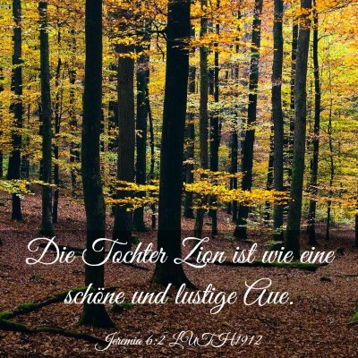 Picture 03 - Jeremia 6:2 LUTH1912 - Die Tochter Zion ist wie eine schöne und lustige - Bible Verse Picture