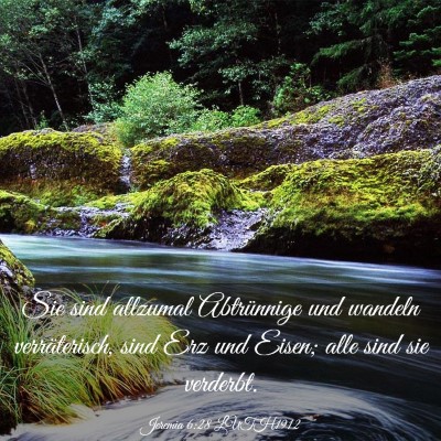 Picture 03 - Jeremia 6:28 LUTH1912 - Sie sind allzumal Abtrünnige und wandeln - Bible Verse Picture