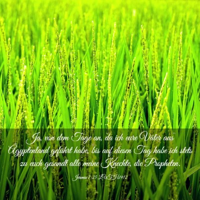 Picture 03 - Jeremia 7:25 LUTH1912 - Ja, von dem Tage an, da ich eure Väter aus - Bible Verse Picture