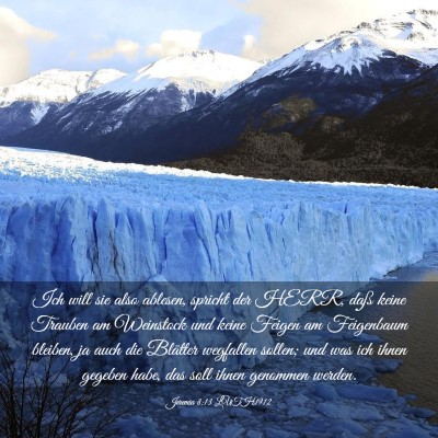Picture 03 - Jeremia 8:13 LUTH1912 - Ich will sie also ablesen, spricht der HERR, daß - Bible Verse Picture