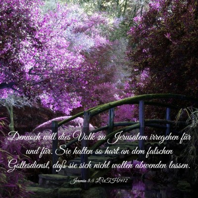 Picture 03 - Jeremia 8:5 LUTH1912 - Dennoch will dies Volk zu Jerusalem irregehen - Bible Verse Picture