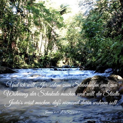 Picture 03 - Jeremia 9:11 LUTH1912 - Und ich will Jerusalem zum Steinhaufen und zur - Bible Verse Picture