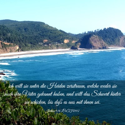 Picture 03 - Jeremia 9:16 LUTH1912 - ich will sie unter die Heiden zerstreuen, welche - Bible Verse Picture