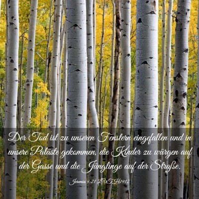 Picture 03 - Jeremia 9:21 LUTH1912 - Der Tod ist zu unseren Fenstern eingefallen und - Bible Verse Picture