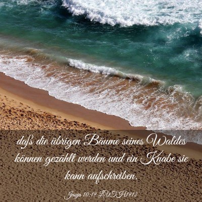 Picture 03 - Jesaja 10:19 LUTH1912 - daß die übrigen Bäume seines Waldes können - Bible Verse Picture