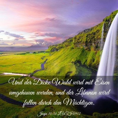 Picture 03 - Jesaja 10:34 LUTH1912 - Und der Dicke Wald wird mit Eisen umgehauen - Bible Verse Picture