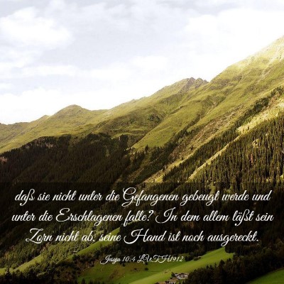 Picture 03 - Jesaja 10:4 LUTH1912 - daß sie nicht unter die Gefangenen gebeugt werde - Bible Verse Picture