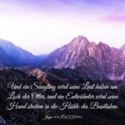 Picture 03 - Jesaja 11:8 LUTH1912 - Und ein Säugling wird seine Lust haben am Loch - Bible Verse Picture
