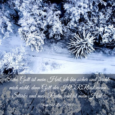 Picture 03 - Jesaja 12:2 LUTH1912 - Siehe, Gott ist mein Heil, ich bin sicher und - Bible Verse Picture