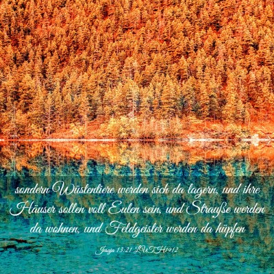 Picture 03 - Jesaja 13:21 LUTH1912 - sondern Wüstentiere werden sich da lagern, und - Bible Verse Picture