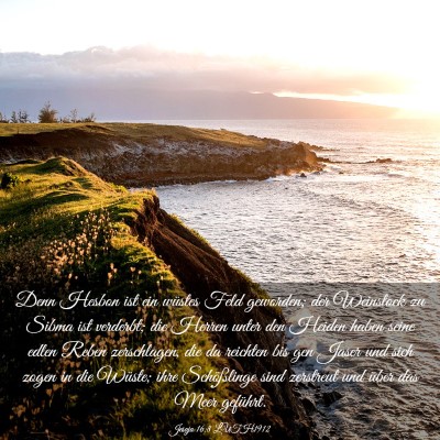 Picture 03 - Jesaja 16:8 LUTH1912 - Denn Hesbon ist ein wüstes Feld geworden; der - Bible Verse Picture