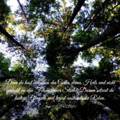 Picture 03 - Jesaja 17:10 LUTH1912 - Denn du hast vergessen des Gottes deines Heils - Bible Verse Picture
