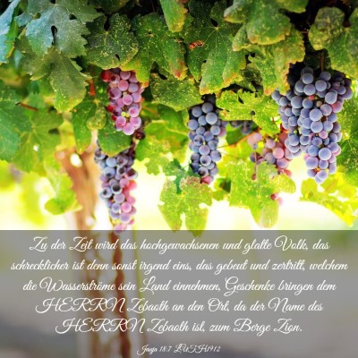 Picture 03 - Jesaja 18:7 LUTH1912 - Zu der Zeit wird das hochgewachsenen und glatte - Bible Verse Picture