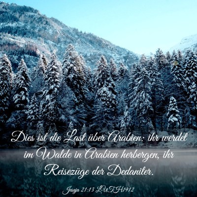 Picture 03 - Jesaja 21:13 LUTH1912 - Dies ist die Last über Arabien: ihr werdet im - Bible Verse Picture