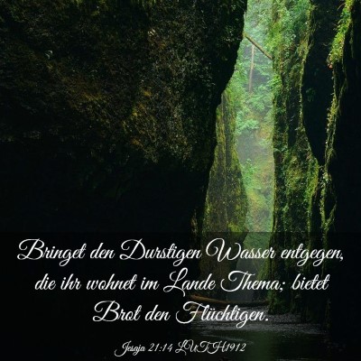 Picture 03 - Jesaja 21:14 LUTH1912 - Bringet den Durstigen Wasser entgegen, die ihr - Bible Verse Picture