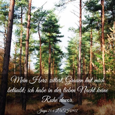Picture 03 - Jesaja 21:4 LUTH1912 - Mein Herz zittert, Grauen hat mich betäubt; ich - Bible Verse Picture