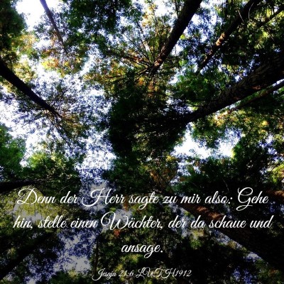 Picture 03 - Jesaja 21:6 LUTH1912 - Denn der Herr sagte zu mir also: Gehe hin, stelle - Bible Verse Picture