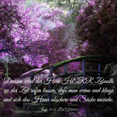 Picture 03 - Jesaja 22:12 LUTH1912 - Darum wird der Herr HERR Zebaoth zu der Zeit - Bible Verse Picture