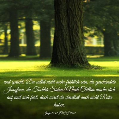 Picture 03 - Jesaja 23:12 LUTH1912 - und spricht: Du sollst nicht mehr fröhlich sein, - Bible Verse Picture